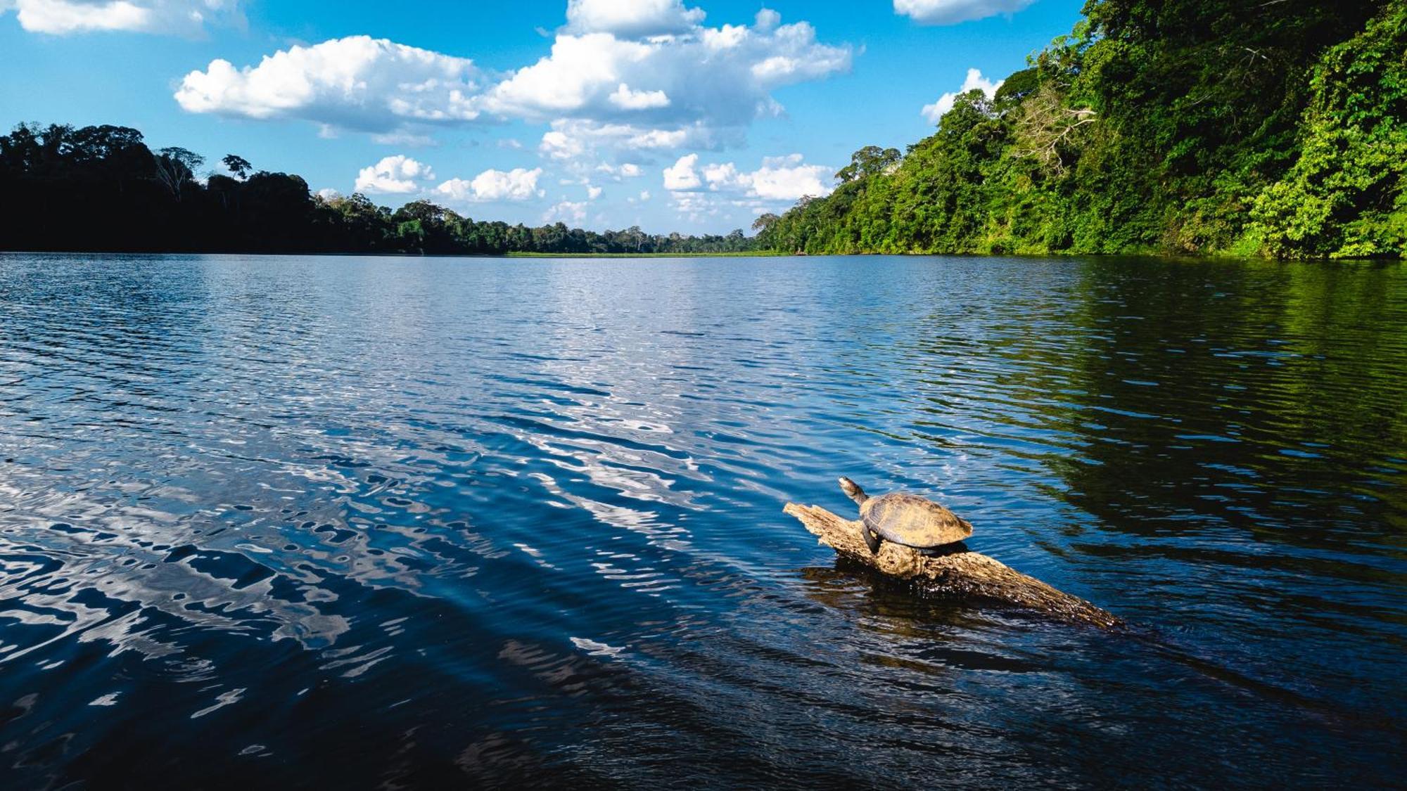 Tres Chimbadas Lake Lodge Tambopata Bagian luar foto